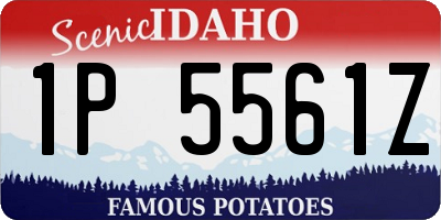 ID license plate 1P5561Z