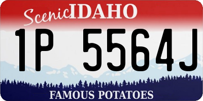 ID license plate 1P5564J