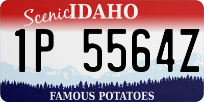 ID license plate 1P5564Z