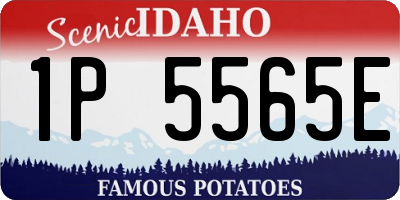 ID license plate 1P5565E
