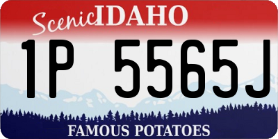 ID license plate 1P5565J