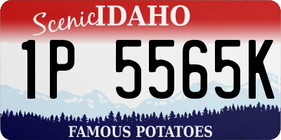 ID license plate 1P5565K