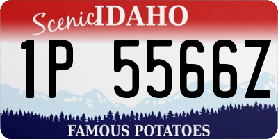 ID license plate 1P5566Z