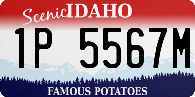 ID license plate 1P5567M