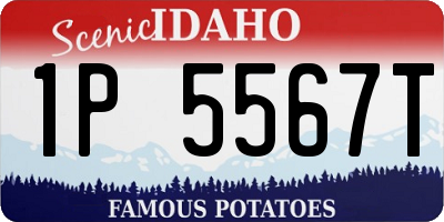 ID license plate 1P5567T