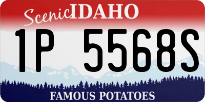 ID license plate 1P5568S