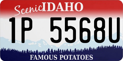 ID license plate 1P5568U
