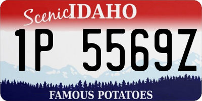 ID license plate 1P5569Z