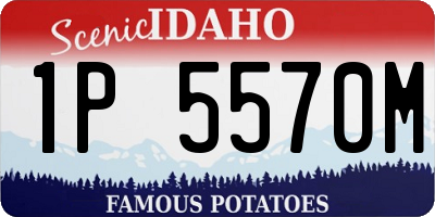ID license plate 1P5570M