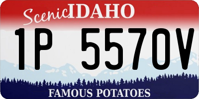 ID license plate 1P5570V