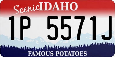 ID license plate 1P5571J