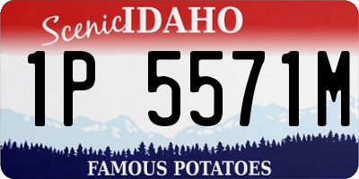 ID license plate 1P5571M