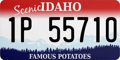 ID license plate 1P5571O
