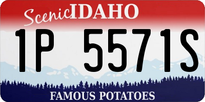 ID license plate 1P5571S