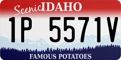 ID license plate 1P5571V