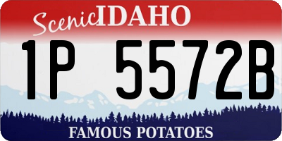 ID license plate 1P5572B