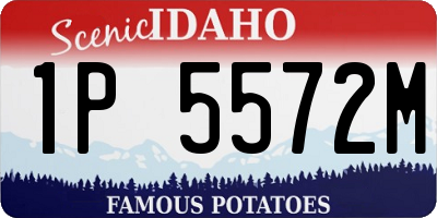 ID license plate 1P5572M