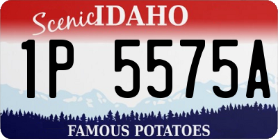 ID license plate 1P5575A