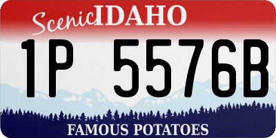 ID license plate 1P5576B