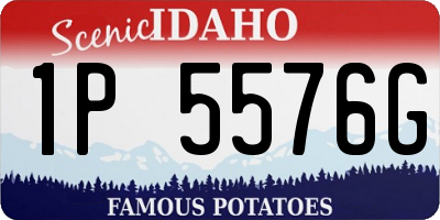 ID license plate 1P5576G