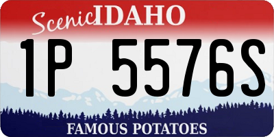 ID license plate 1P5576S