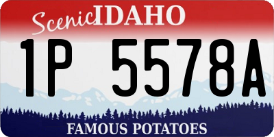ID license plate 1P5578A