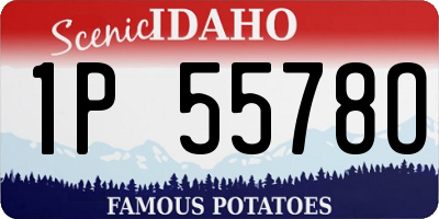 ID license plate 1P5578O
