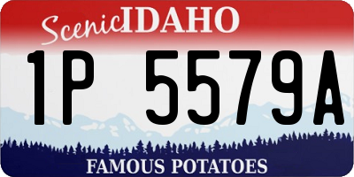 ID license plate 1P5579A