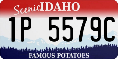 ID license plate 1P5579C