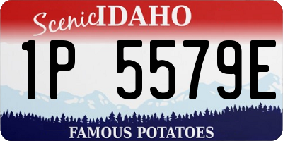ID license plate 1P5579E
