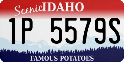 ID license plate 1P5579S