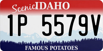 ID license plate 1P5579V