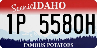ID license plate 1P5580H
