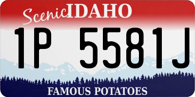 ID license plate 1P5581J