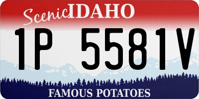 ID license plate 1P5581V