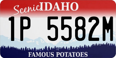 ID license plate 1P5582M