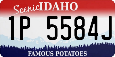 ID license plate 1P5584J