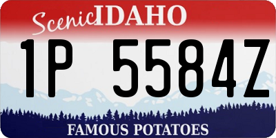 ID license plate 1P5584Z