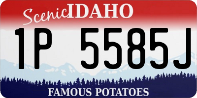ID license plate 1P5585J