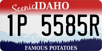 ID license plate 1P5585R