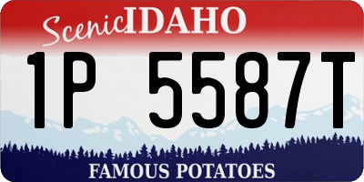 ID license plate 1P5587T