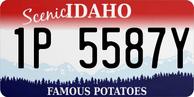 ID license plate 1P5587Y