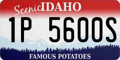 ID license plate 1P5600S