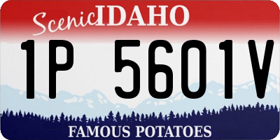 ID license plate 1P5601V