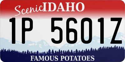 ID license plate 1P5601Z