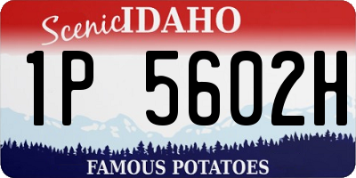 ID license plate 1P5602H