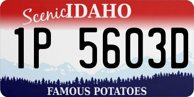ID license plate 1P5603D