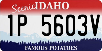 ID license plate 1P5603V