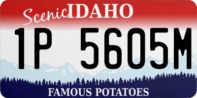 ID license plate 1P5605M