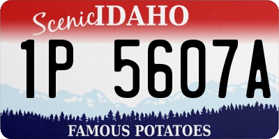 ID license plate 1P5607A